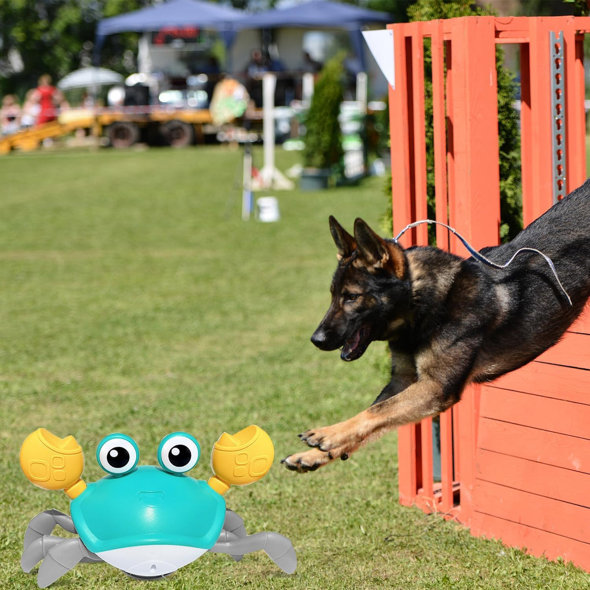 Brinquedo Caranguejo com Sensor de Obstáculos e Música para Cães