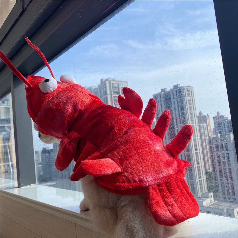 Roupa de Lagosta de Halloween e Natal para Gatos