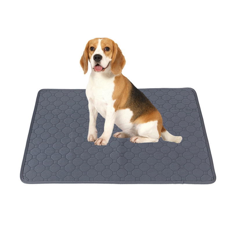Tapetes Higiênicos Laváveis e Impermeáveis para Treino de Cães