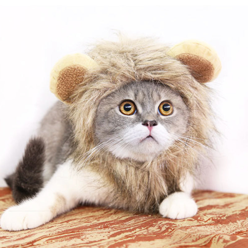 Chapéu Divertido de Juba de Leão para Gatos e Cães Pequenos - Halloween