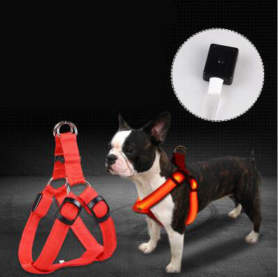 Peitoral LED Luminoso e Guia para Cães Grandes