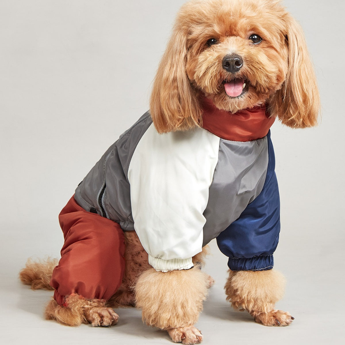 Casaco Acolchoado Bicolor para Cães Médios e Grandes - Inverno