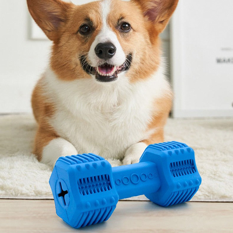 Brinquedo de Borracha Dispensador de Petiscos para Cães - Longa Duração