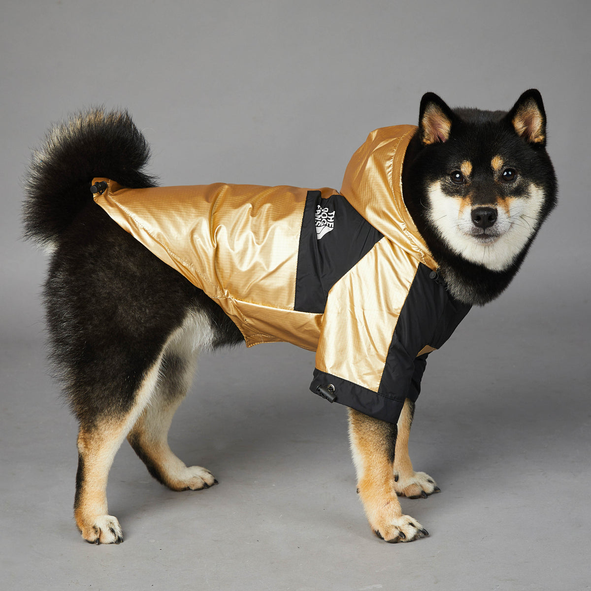 Capa de Chuva para Cães Grandes