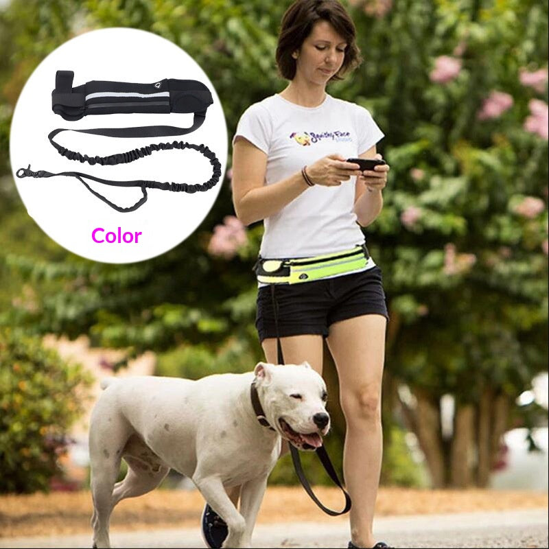 Guia de Treino Leve para Pets com Vários Bolsos
