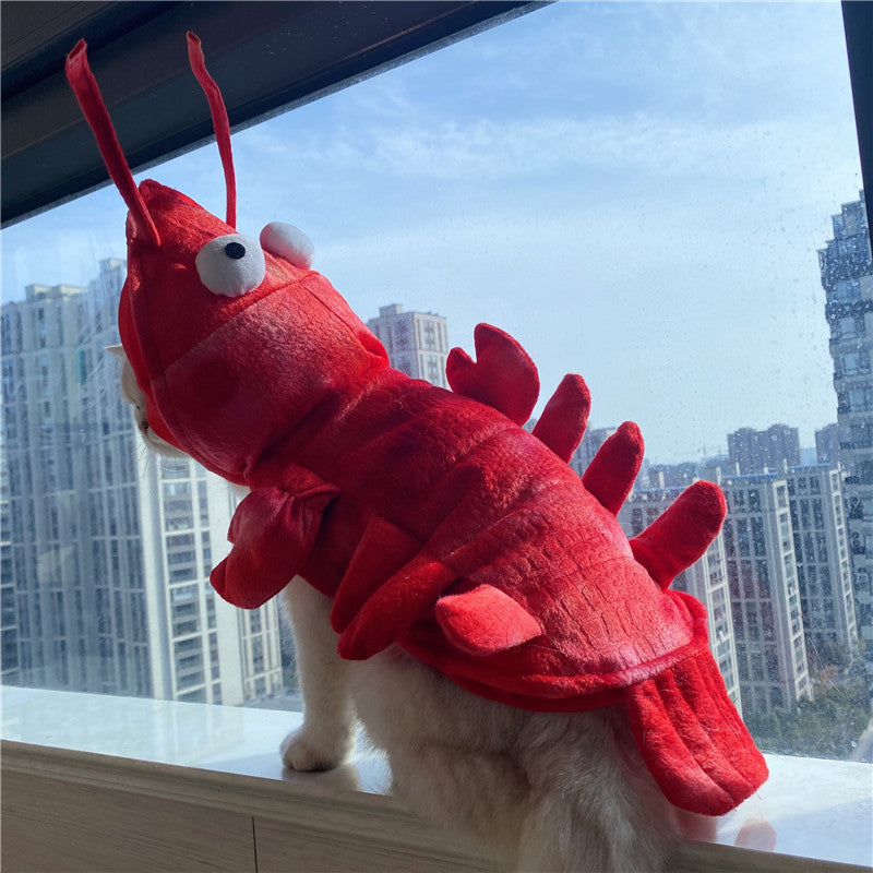Roupa de Lagosta de Halloween e Natal para Gatos