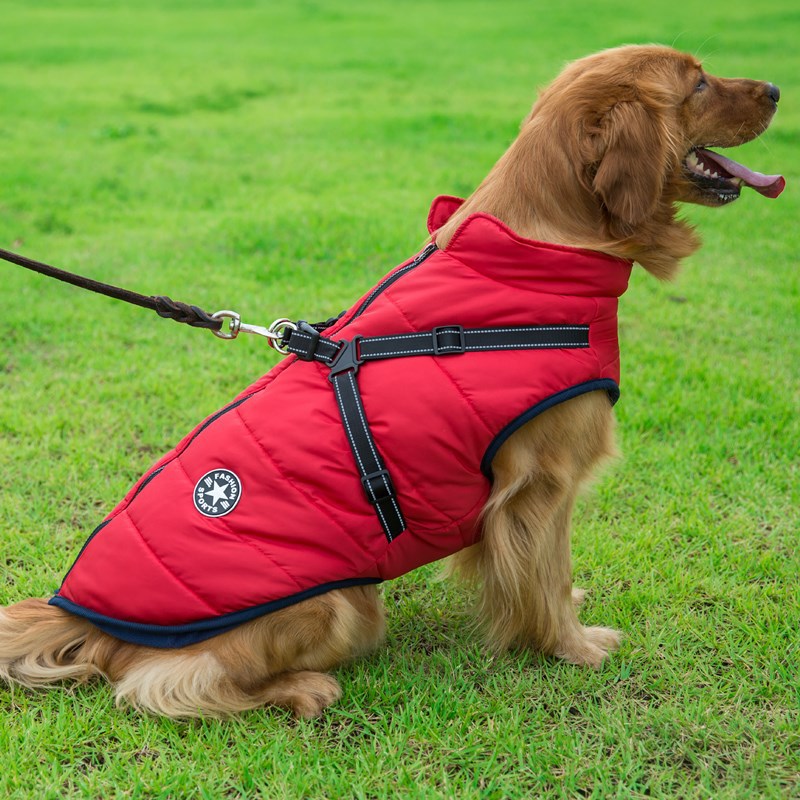Casaco com Capuz Quentinho para Cães Pequenos - Inverno