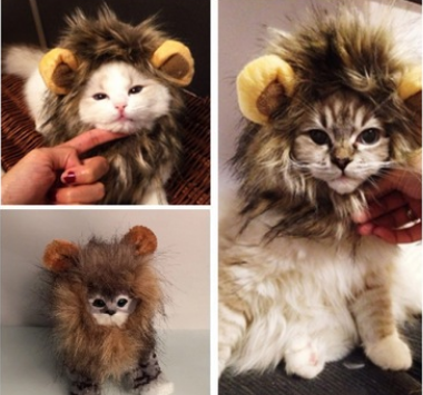 Chapéu Divertido de Juba de Leão para Gatos e Cães Pequenos - Halloween