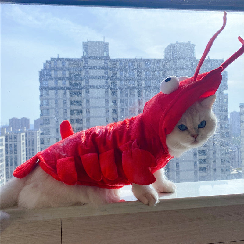 Roupa de Lagosta de Halloween e Natal para Gatos