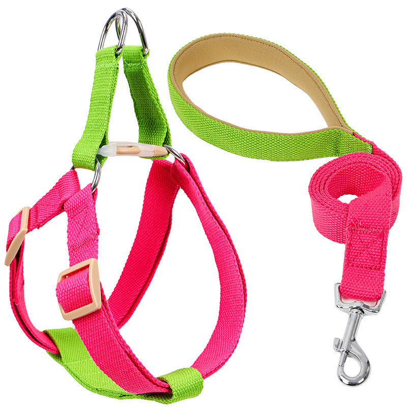 Guia Colorida com Cordão e Peitoral Colete para Cães