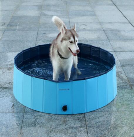 Piscina Dobrável para Banho de Cães Grandes