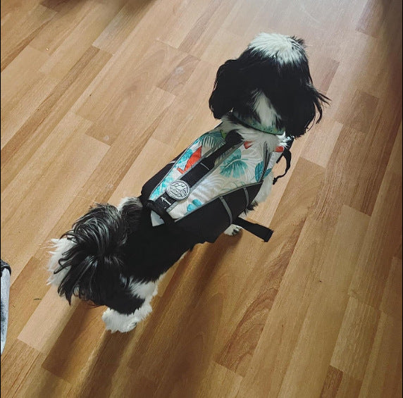 Colete Salva-vidas Profissional para Cães Grandes - Flutuação em Natação