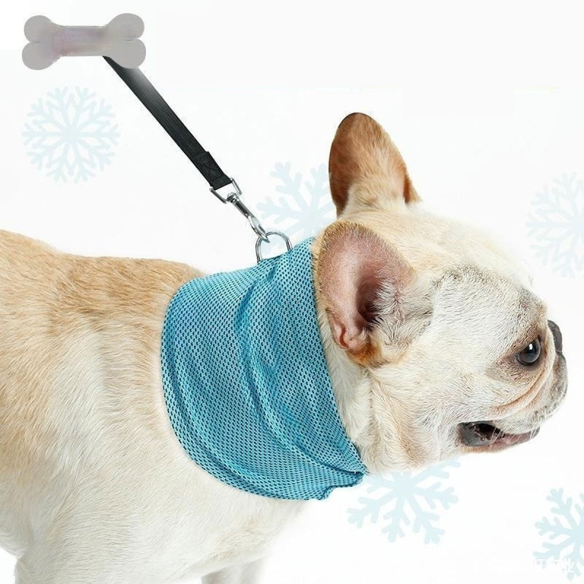 Bandana Refrescante Instantânea para Cães - Verão