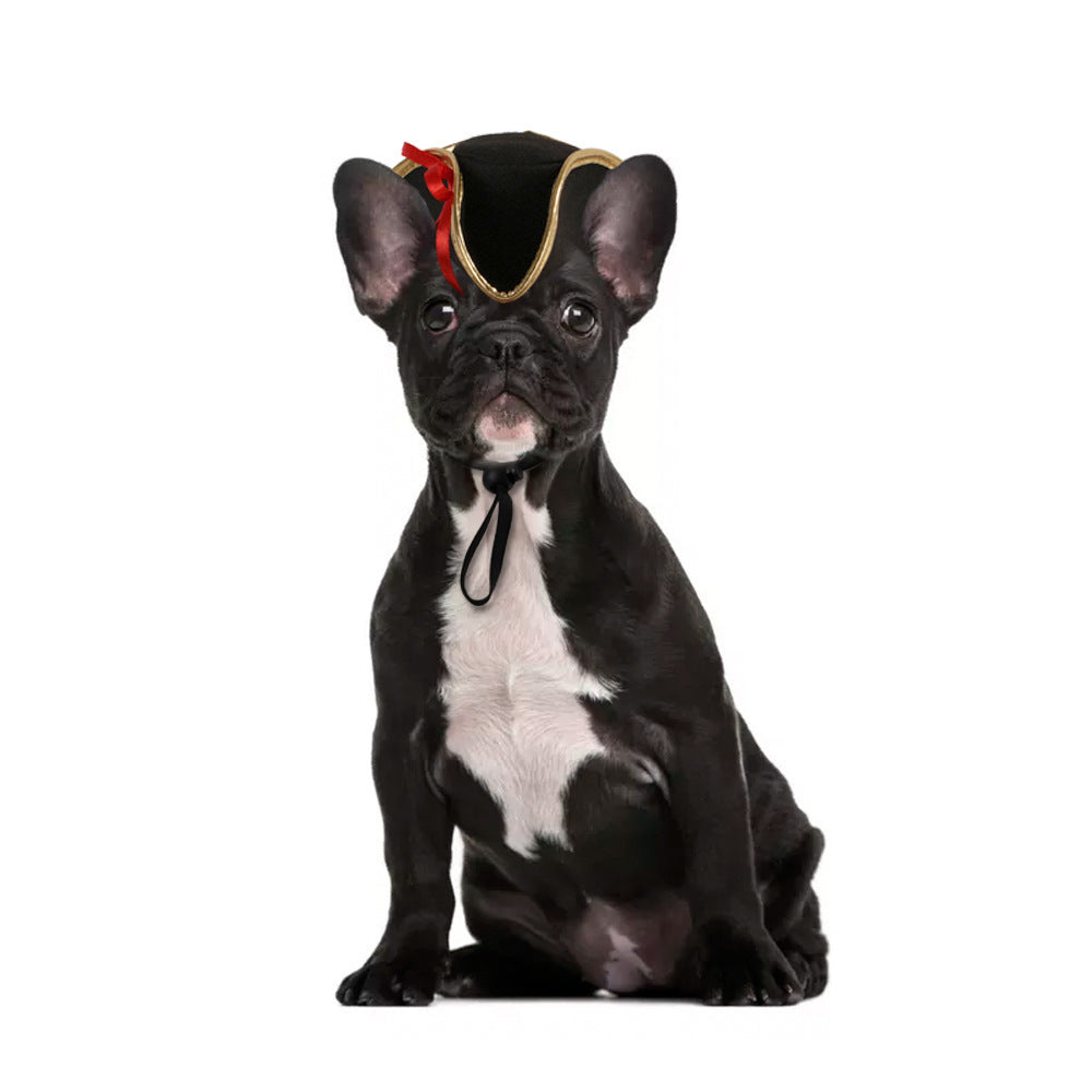 Chapéu Quentinho Divertido para Fotos com Cães e Gatos