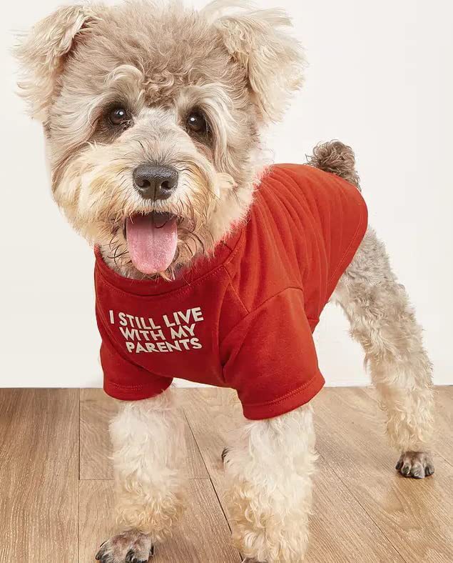 Camiseta Gola Redonda para Pets
