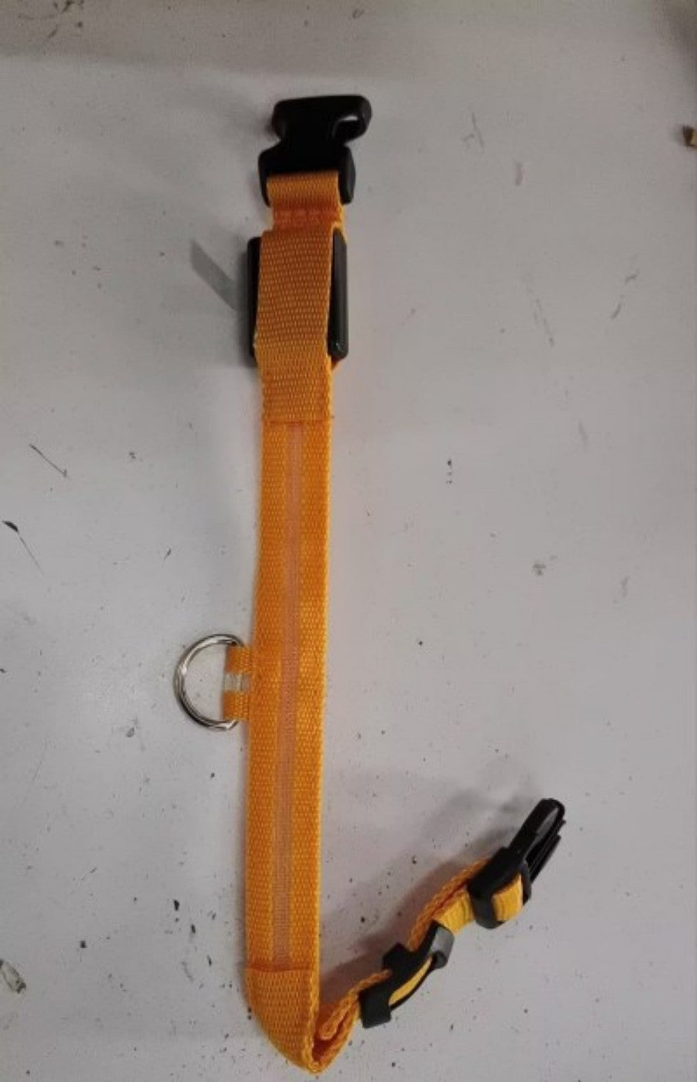 Coleira LED de Segurança para Pets