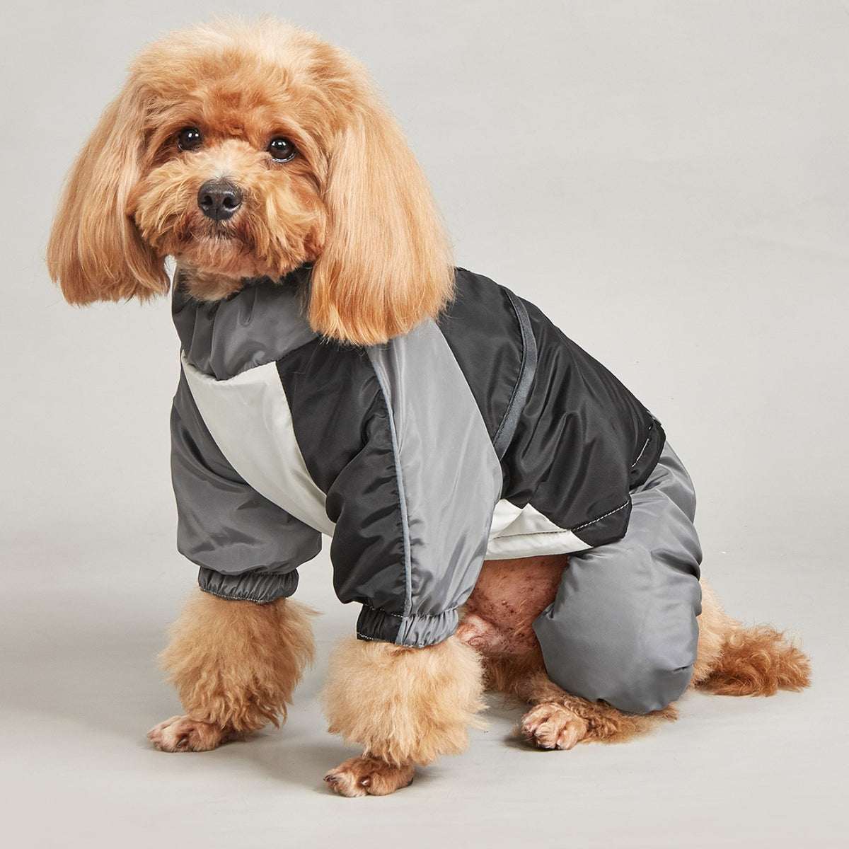 Casaco Acolchoado Bicolor para Cães Médios e Grandes - Inverno