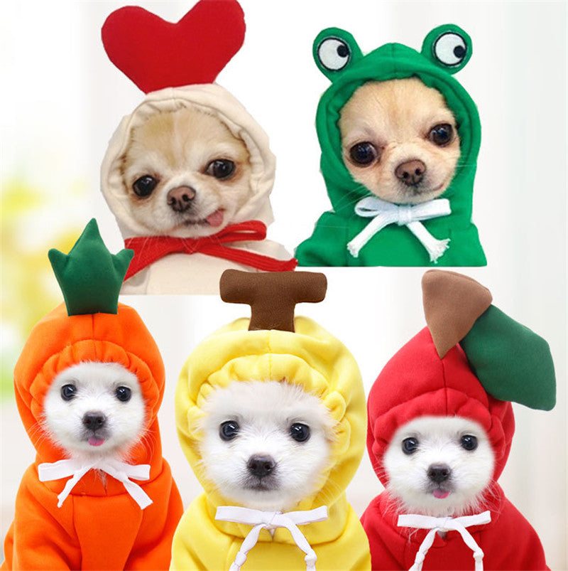 Moletom de Fleece com Estampa de Frutas para Cães Pequenos - Inverno