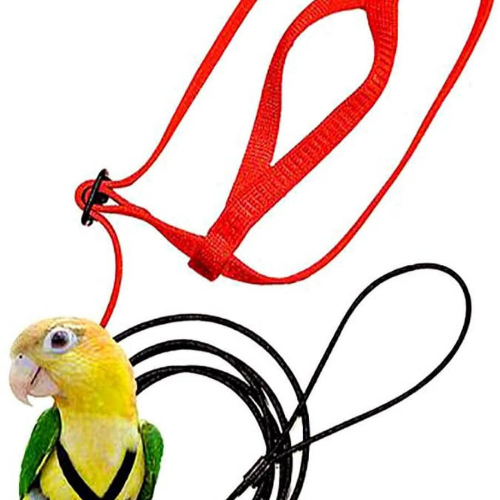 Peitoral com Corda de Voo para Papagaios