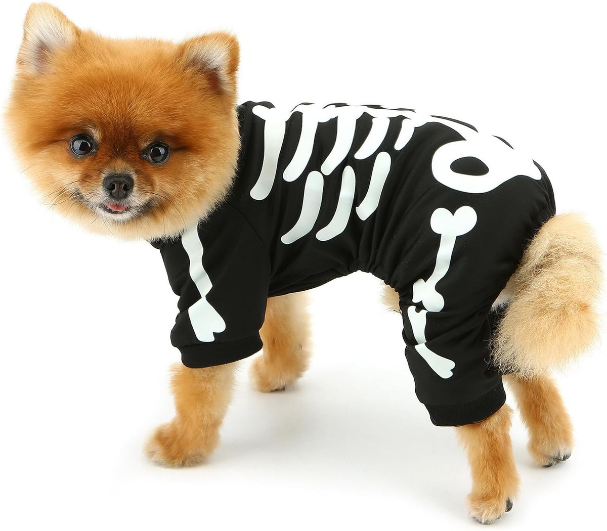 Macacão Esqueleto que Brilha no Escuro para Cães Pequenos - Halloween