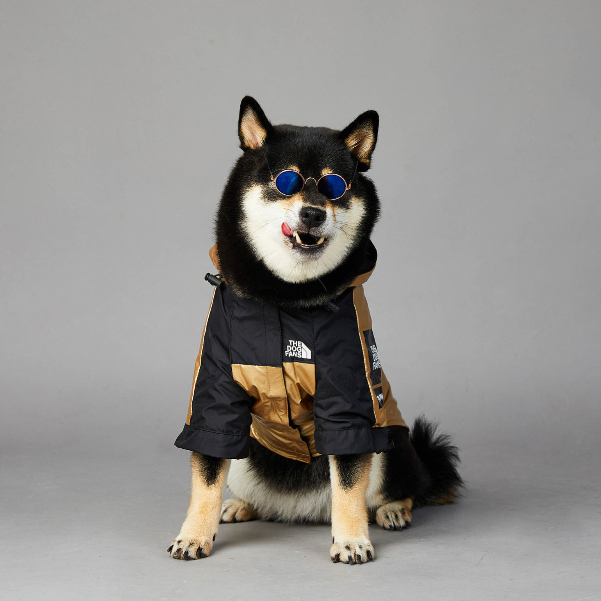 Capa de Chuva para Cães Grandes