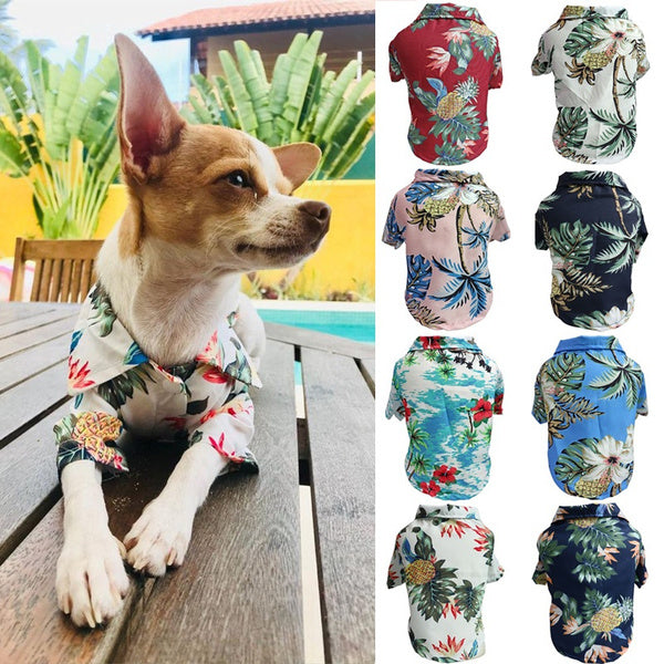 Camisa Leve de Primavera e Verão para Cães - Corgi