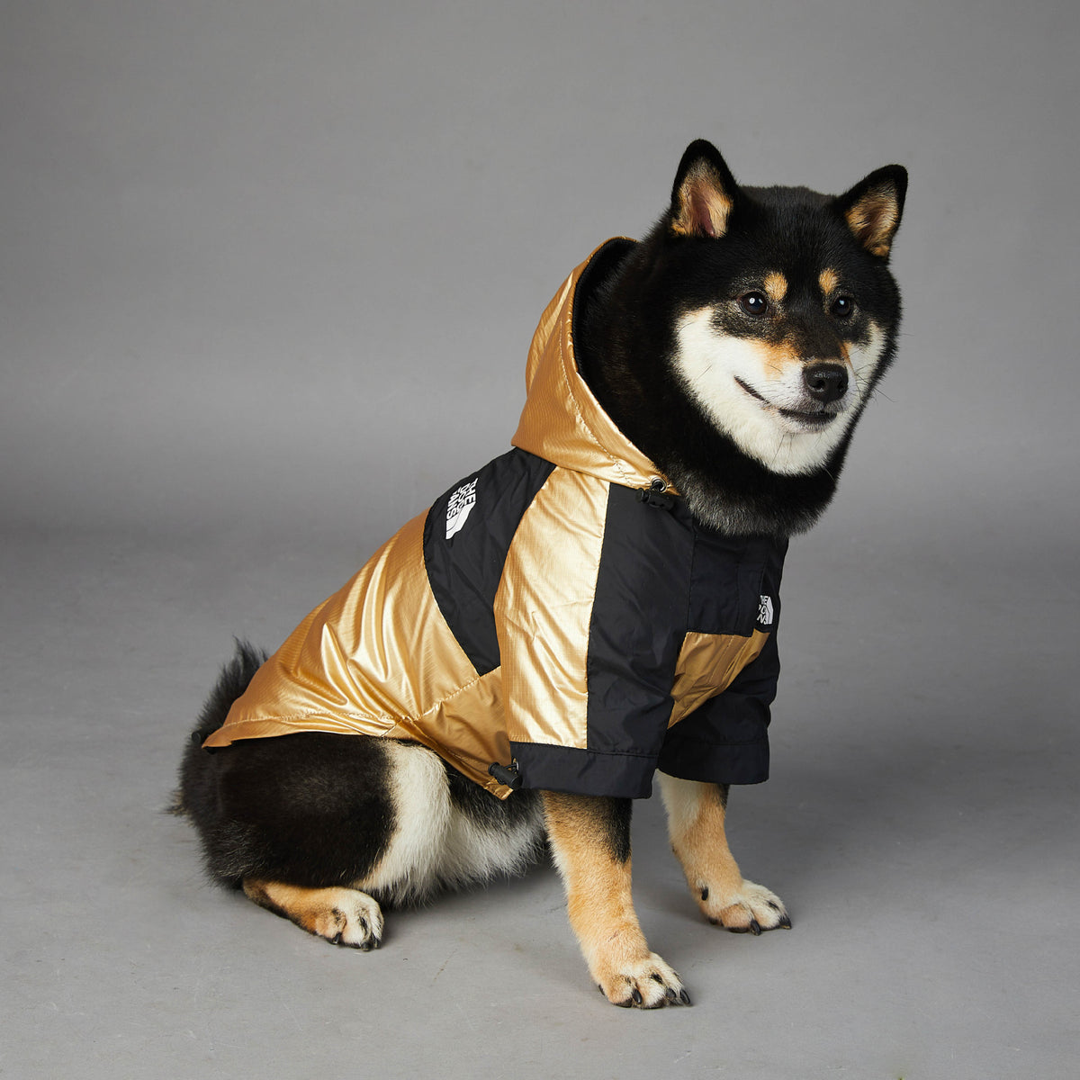 Capa de Chuva para Cães Grandes