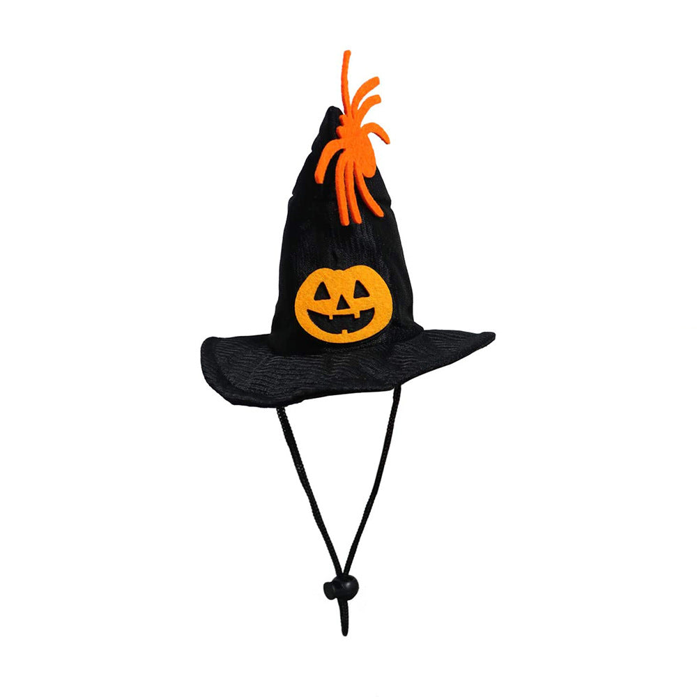 Kit Chapéu e Cachecol de Halloween para Gatos