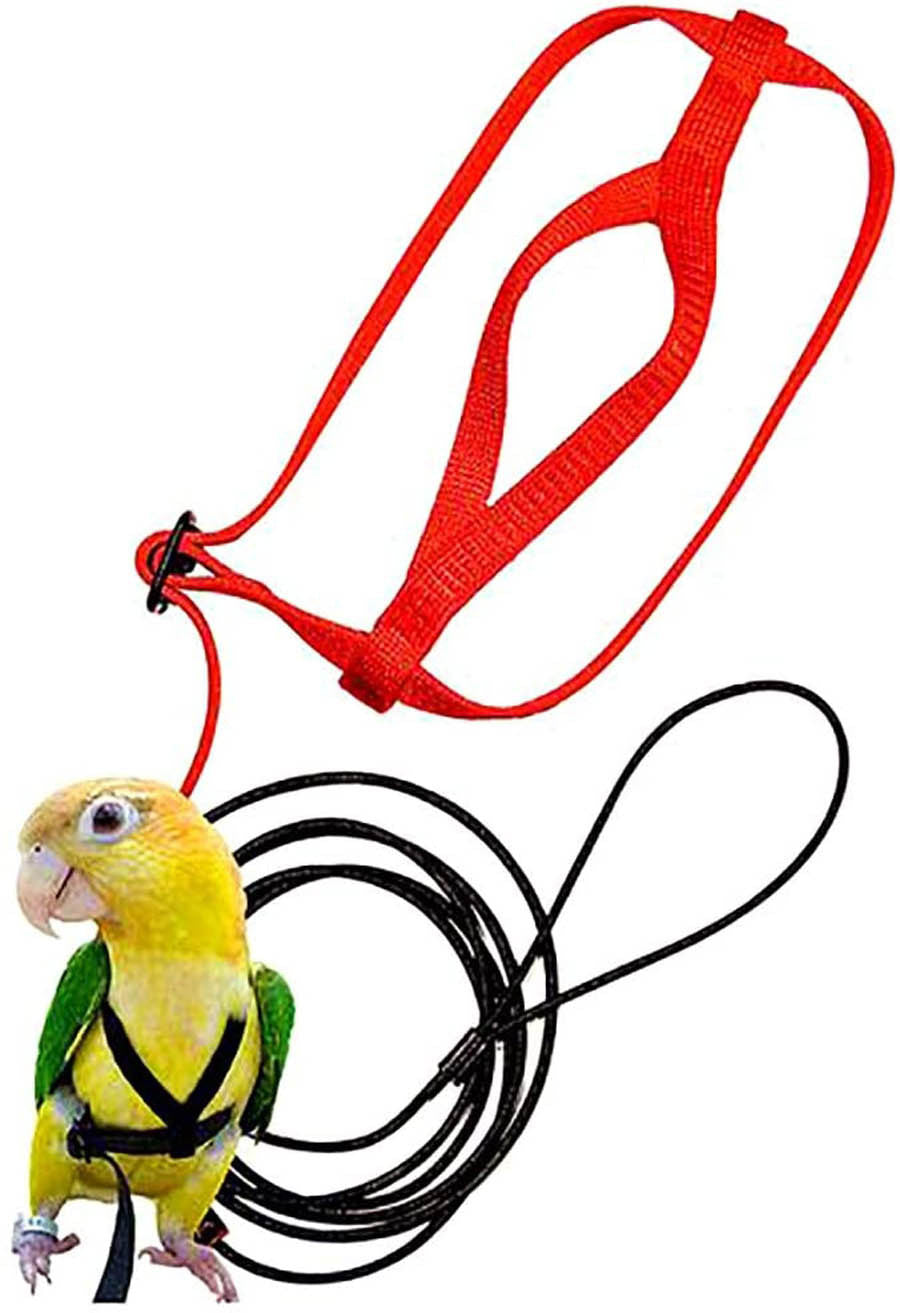 Peitoral com Corda de Voo para Papagaios