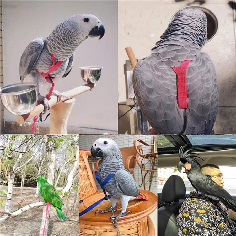 Peitoral com Corda de Voo para Papagaios