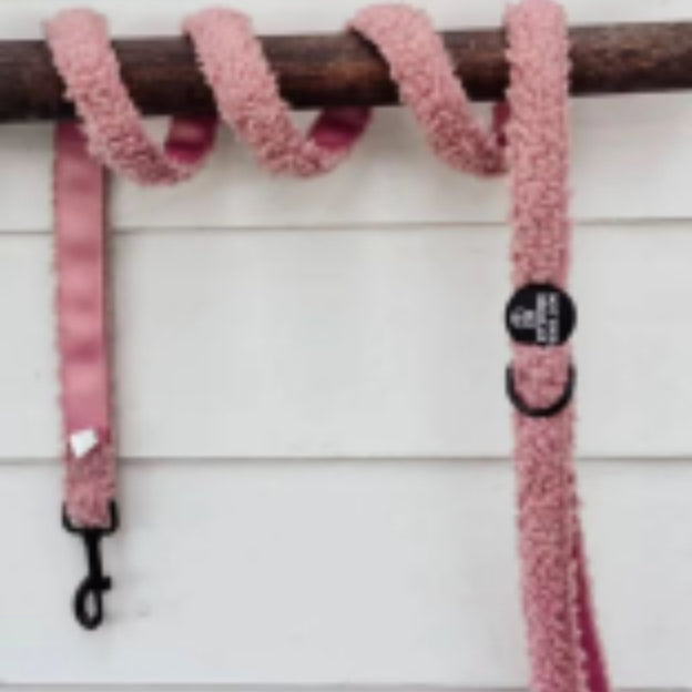 Guia de Passeio para Poodle
