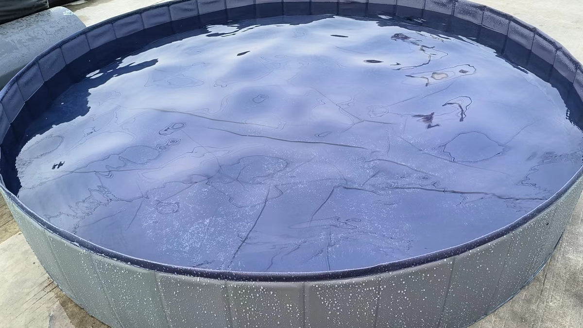 Piscina Dobrável para Banho de Cães Grandes