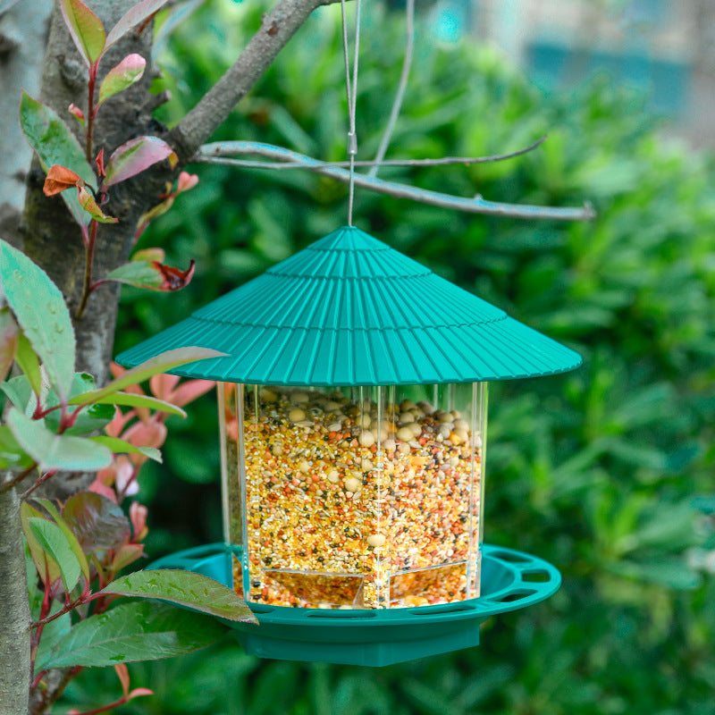 Comedouro Suspenso Transparente para Aves - Jardim e Áreas Externas