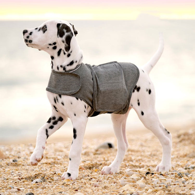 Colete Quentinho Calmante para Cães com Ansiedade