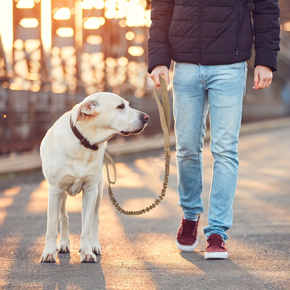 Guia Retrátil Resistente e Segura para Cães Grandes - Tecnologia Anti-rompimento