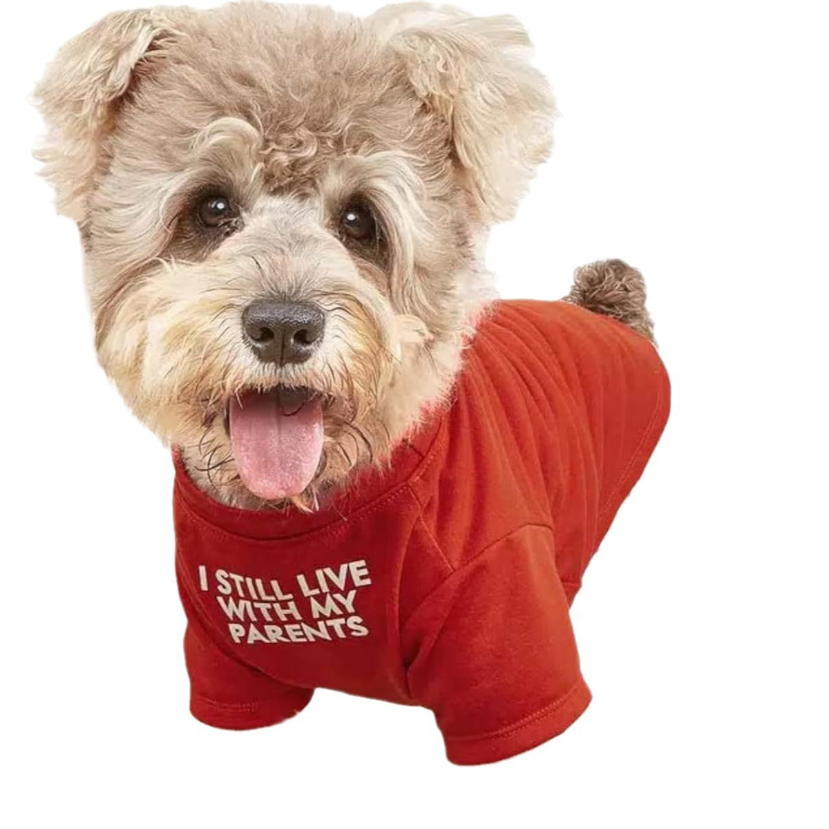 Camiseta Gola Redonda para Pets