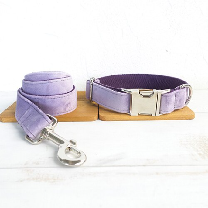 Kit de Guia com Cordão para Cães