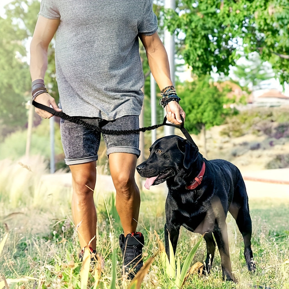 Guia Retrátil Resistente e Segura para Cães Grandes - Tecnologia Anti-rompimento