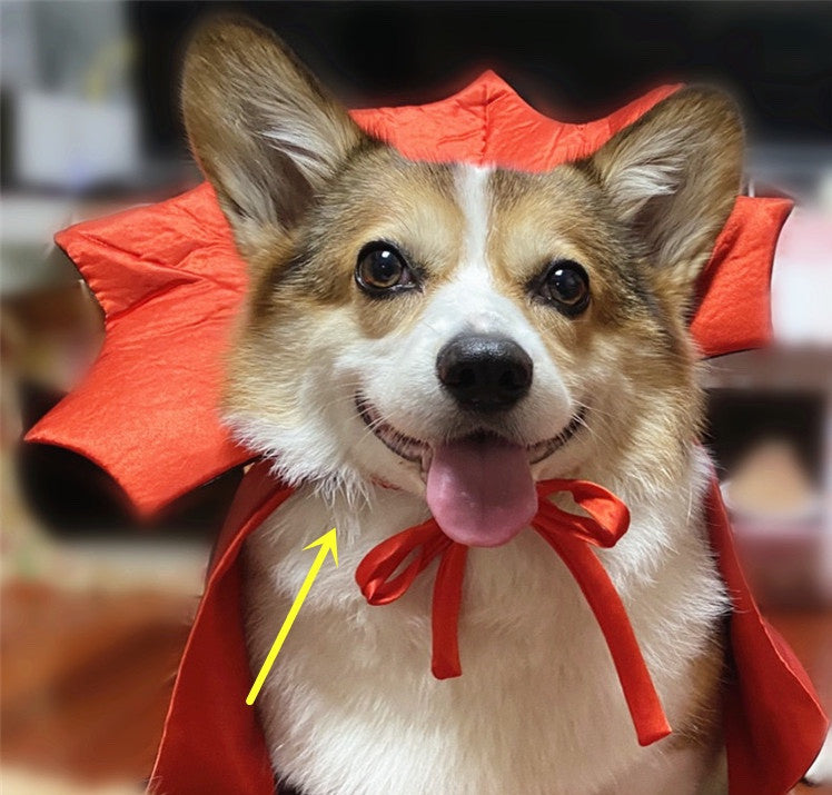 Fantasia de Halloween Capa de Vampiro para Pets