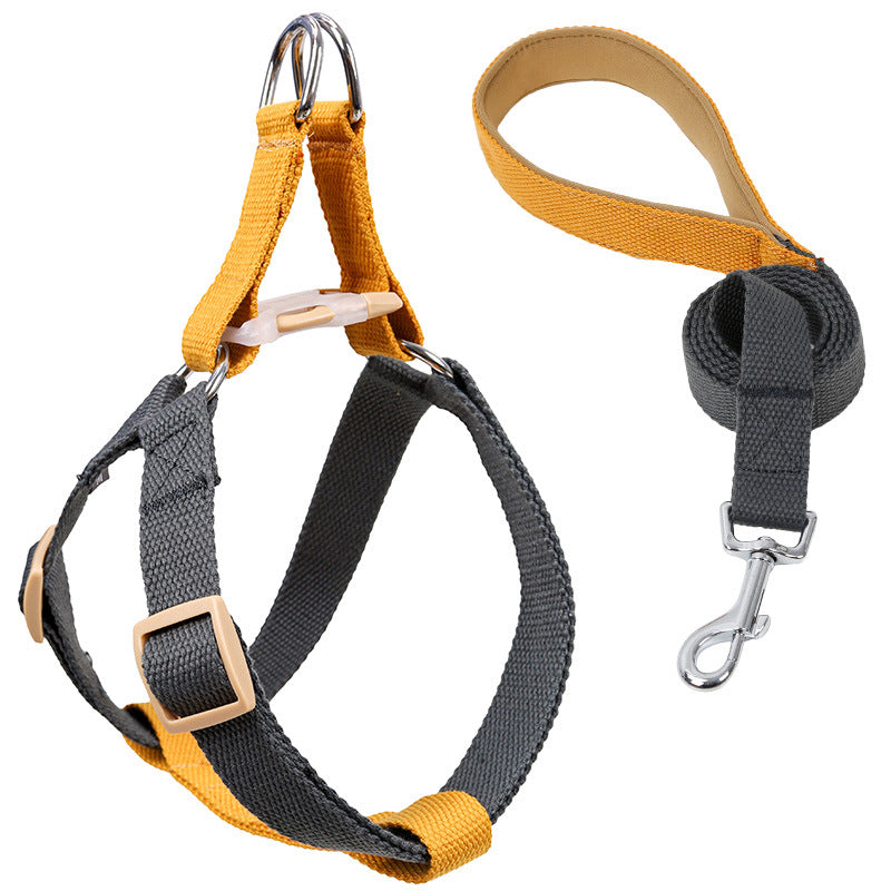 Guia Colorida com Cordão e Peitoral Colete para Cães