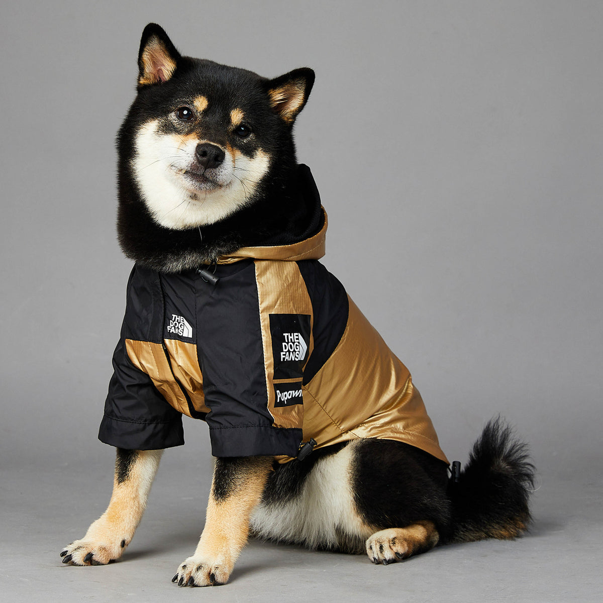 Capa de Chuva para Cães Grandes