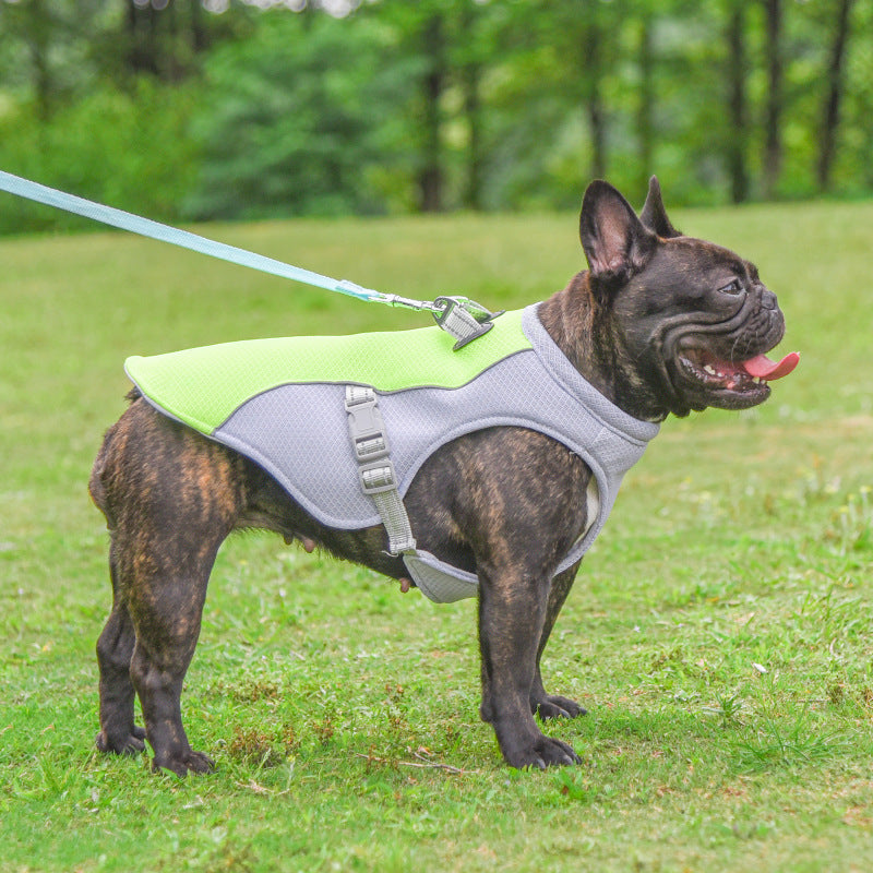 Colete Refrescante de Verão para Cães - Respirável e com Proteção Solar
