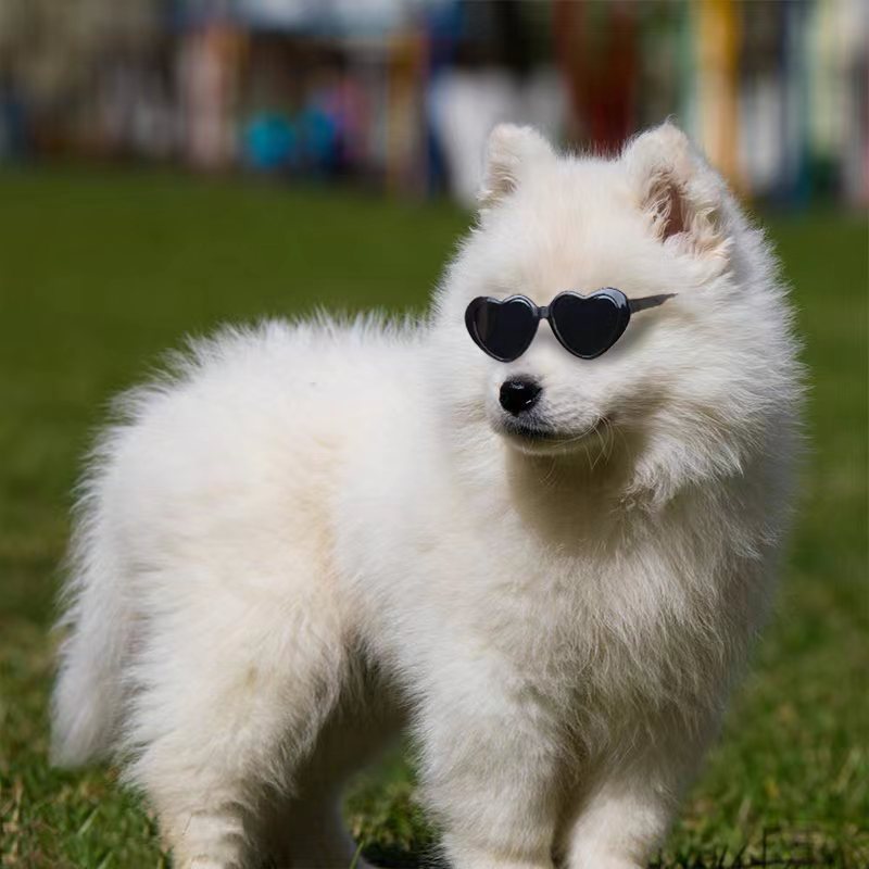 Óculos de Sol para Bonecas e Pets