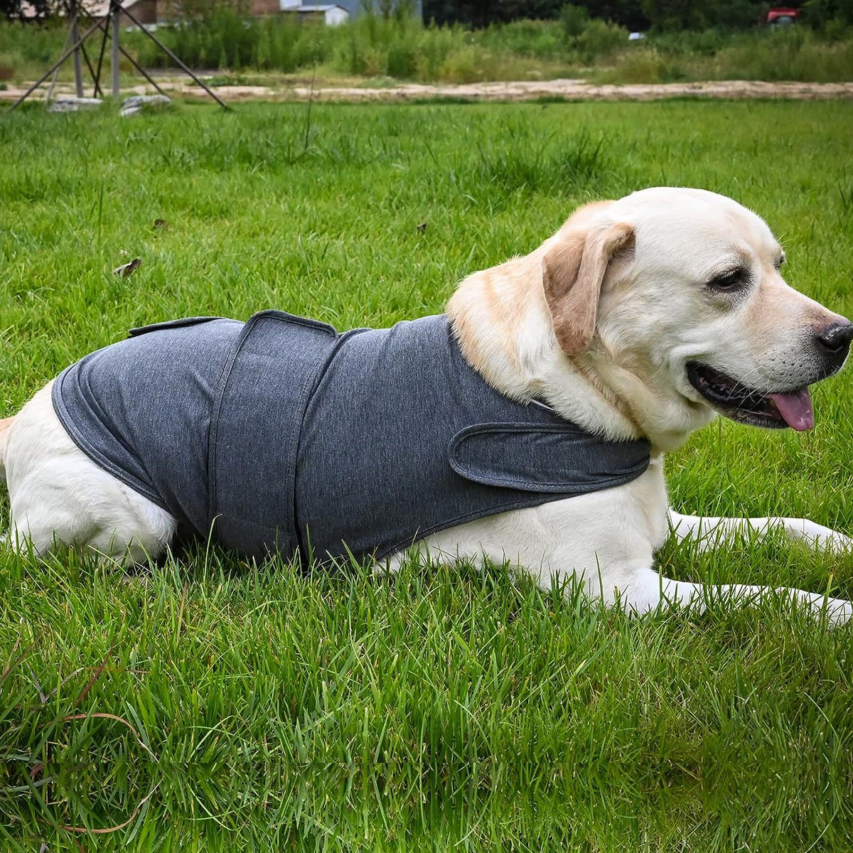 Colete Calmante Respirável Clássico para Cães com Ansiedade e Medo de Trovões